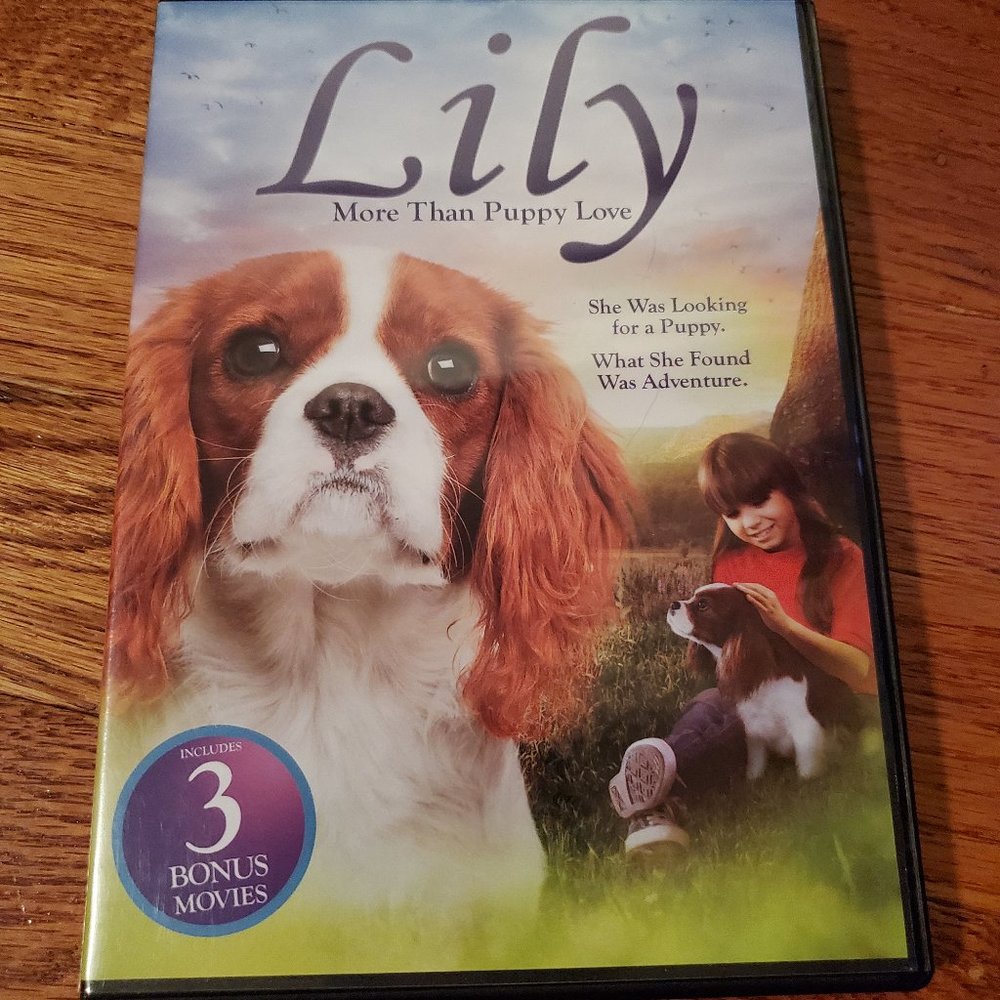 Lily DVD